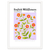 English Wildflowers | Scarlet Pimpernel thumbnail