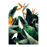 Paradise Bird, Nature Botanical Plant Floral, Tropical Garden Watercolor Painting (Print Only) thumbnail