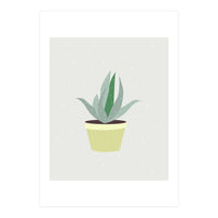Succulent V1 (Print Only)