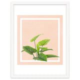 Botanical Art thumbnail