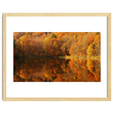 Autumn Reflections thumbnail