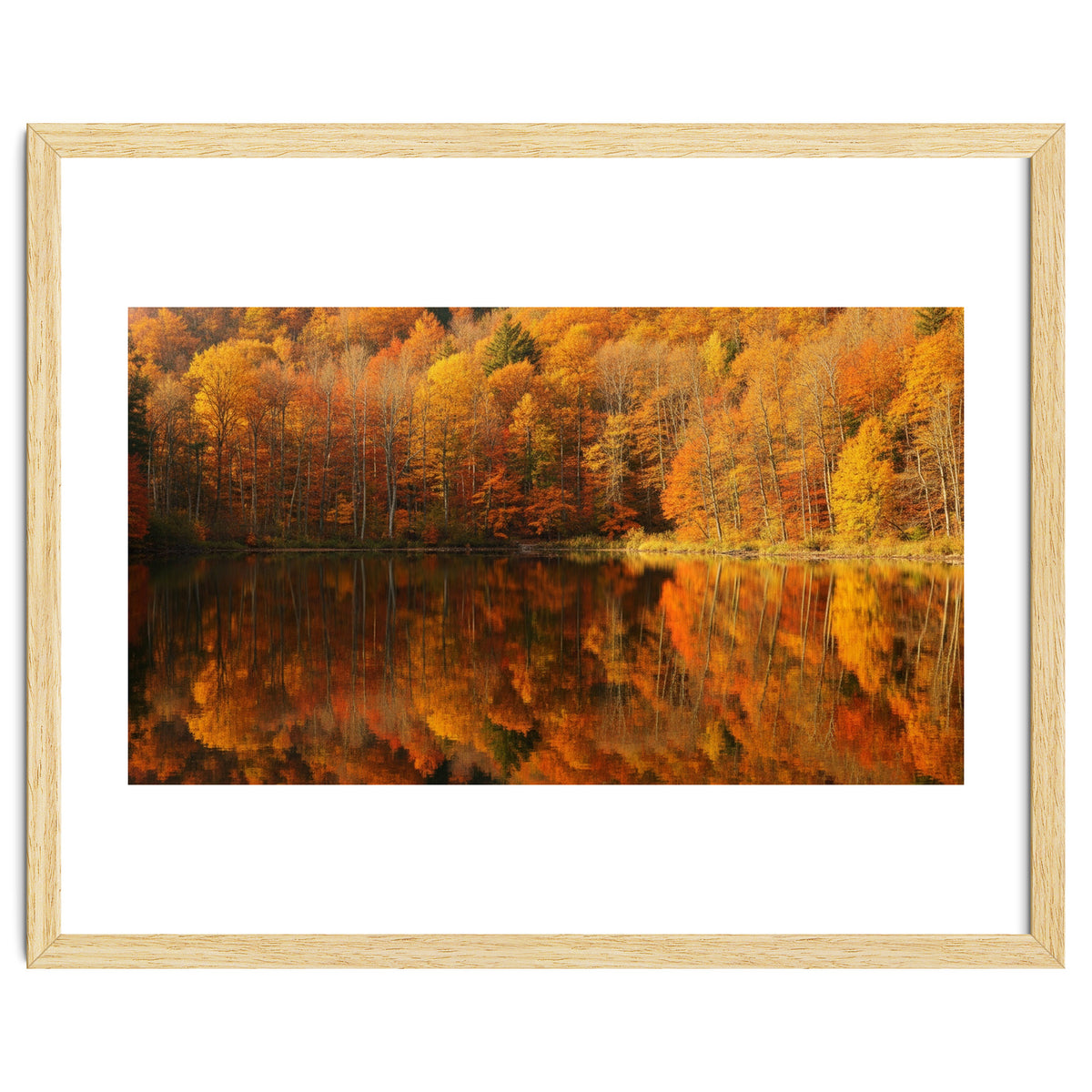 Autumn Reflections