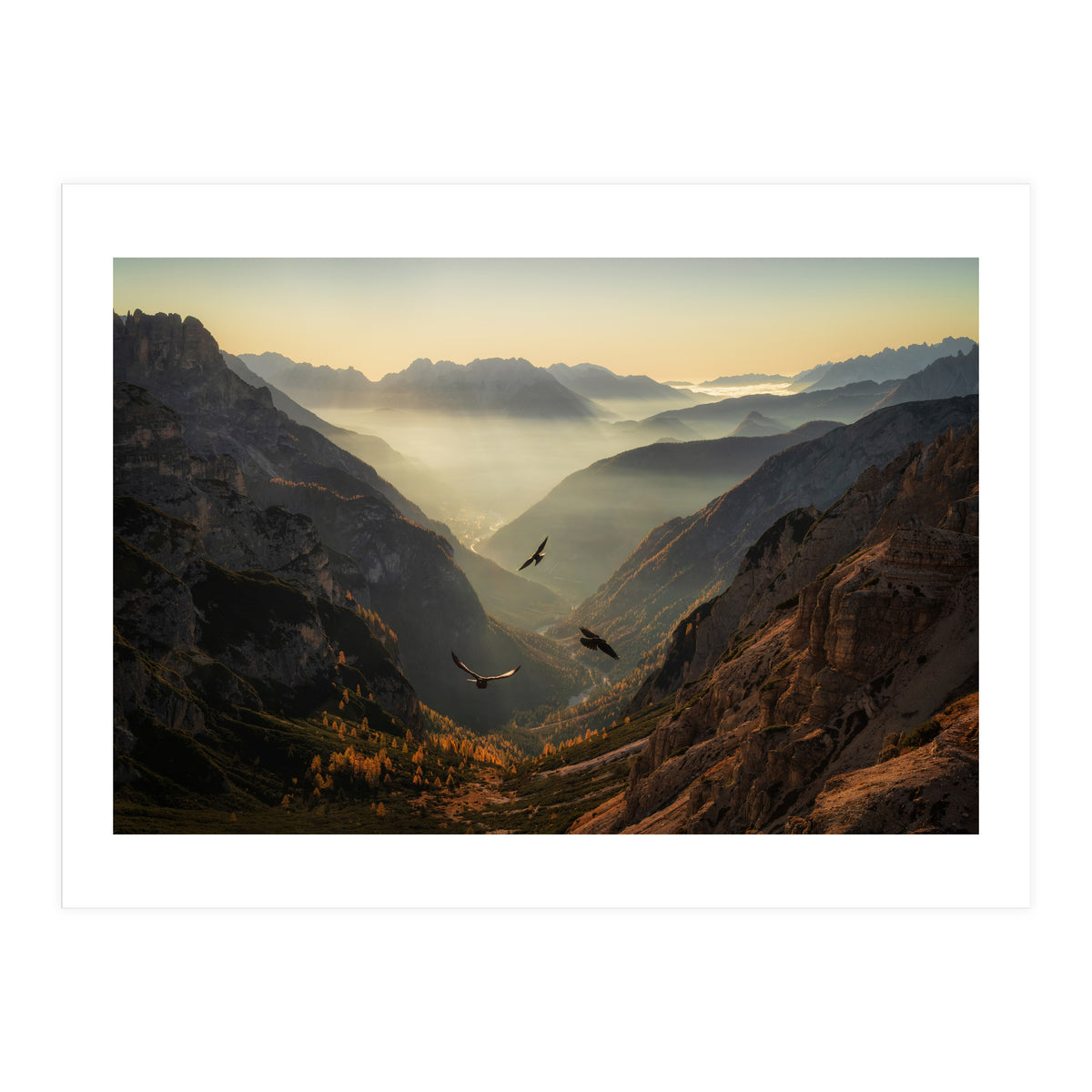 Fly away (Print Only)