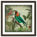 Tropical Bird Nostalgia thumbnail