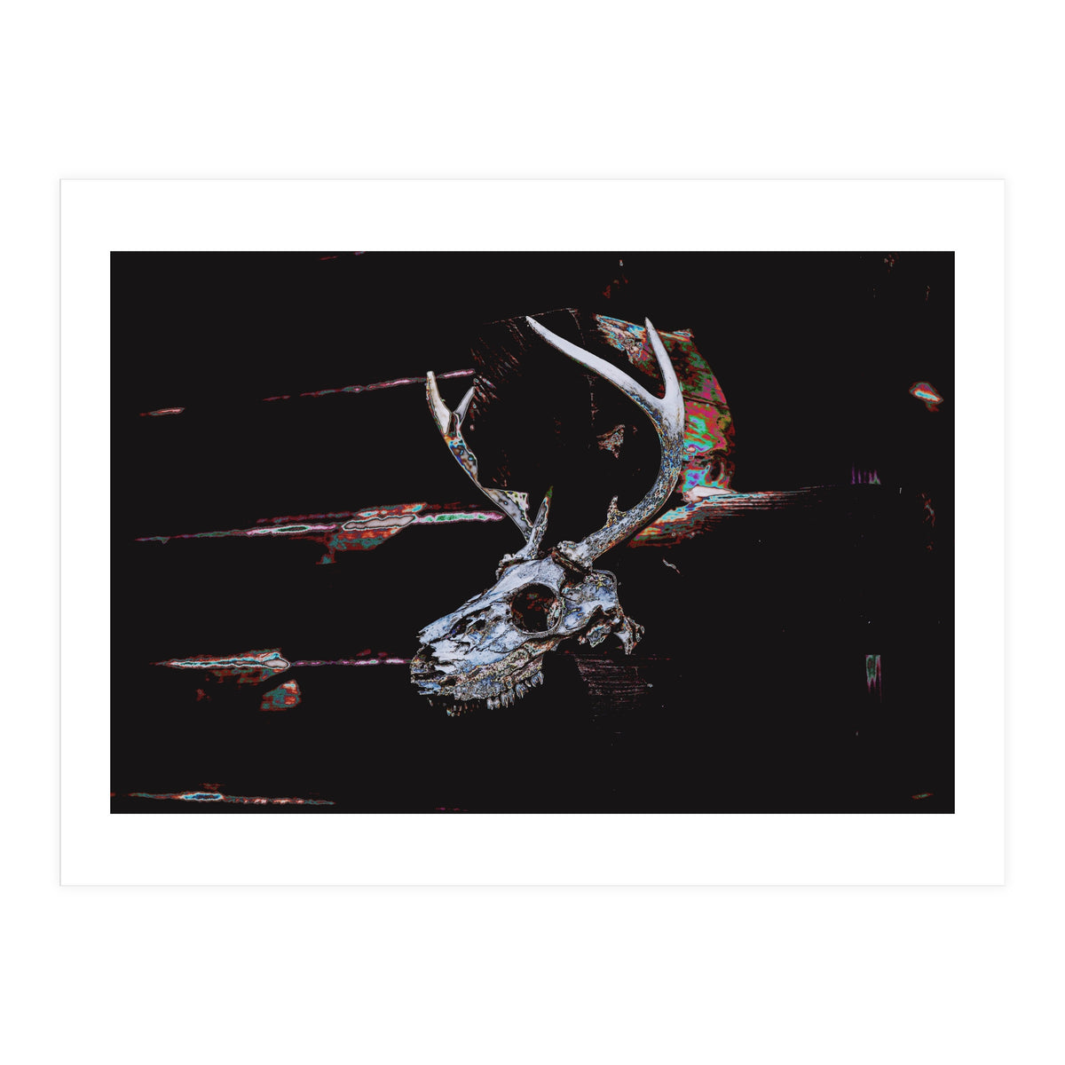 Deer Skull (Print Only)