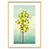 Lemon Tree thumbnail