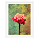 A Vibrant Red Rose thumbnail