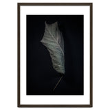 Leaves No 3 Color Version thumbnail
