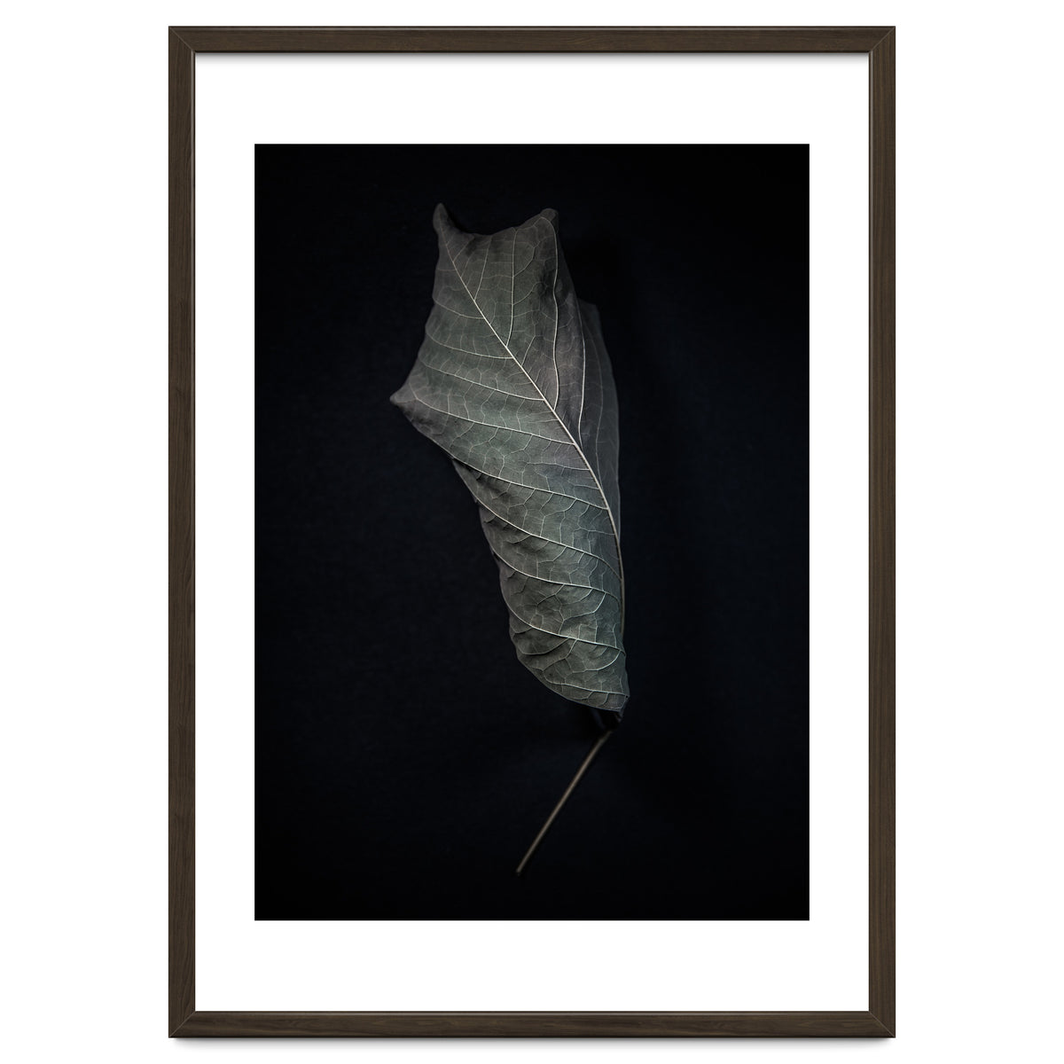 Leaves No 3 Color Version