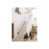 Stairs with cacti (Print Only)