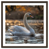Graceful Swan Gliding On Reflective Water Surface thumbnail
