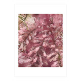 Pink Blossom (Print Only) thumbnail