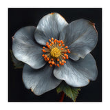 Hellebore | Silver Magic (Print Only) thumbnail