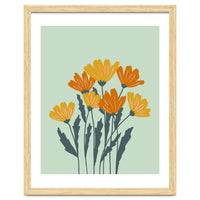 Orange and Yellow Flowers