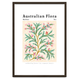 Australian Flora: Wax Flower thumbnail