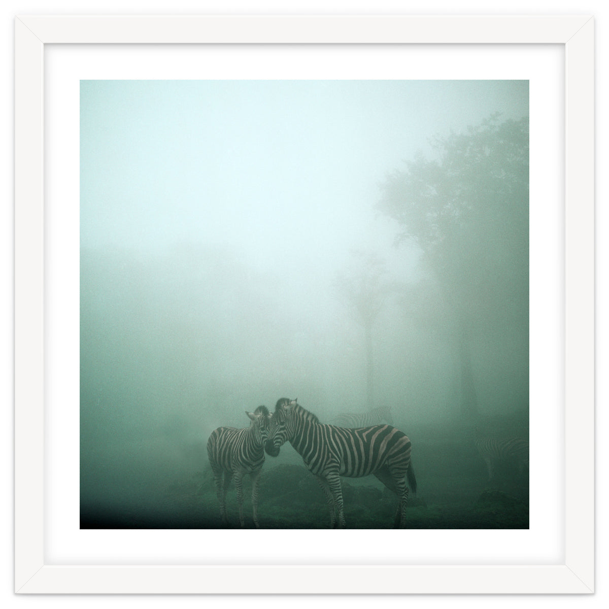 Silence of breath - 11