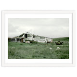 Sheep with a farmhouse - Iceland thumbnail