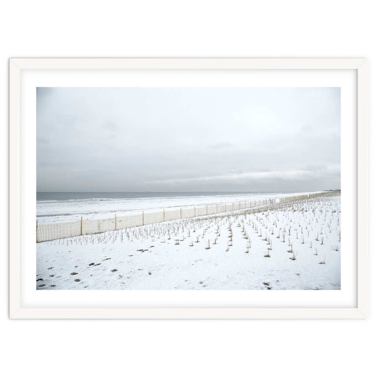 Winter grass in snow beach