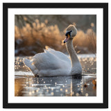 Majestic Swan On Calm Water During Sunset Nature Scene thumbnail