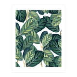 Botany #society6 #decor #buyart (Print Only) thumbnail