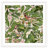 Tropical Bird Garden thumbnail