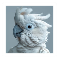 White Cockatoo Bird Portrait Close Up (Print Only)