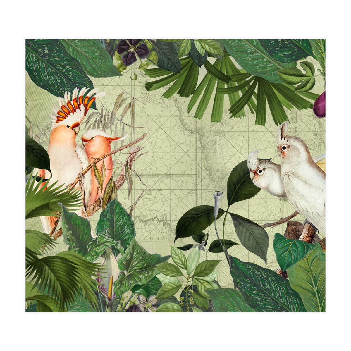 Cockatoo Island Green (Print Only)