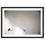 The Little Prince thumbnail