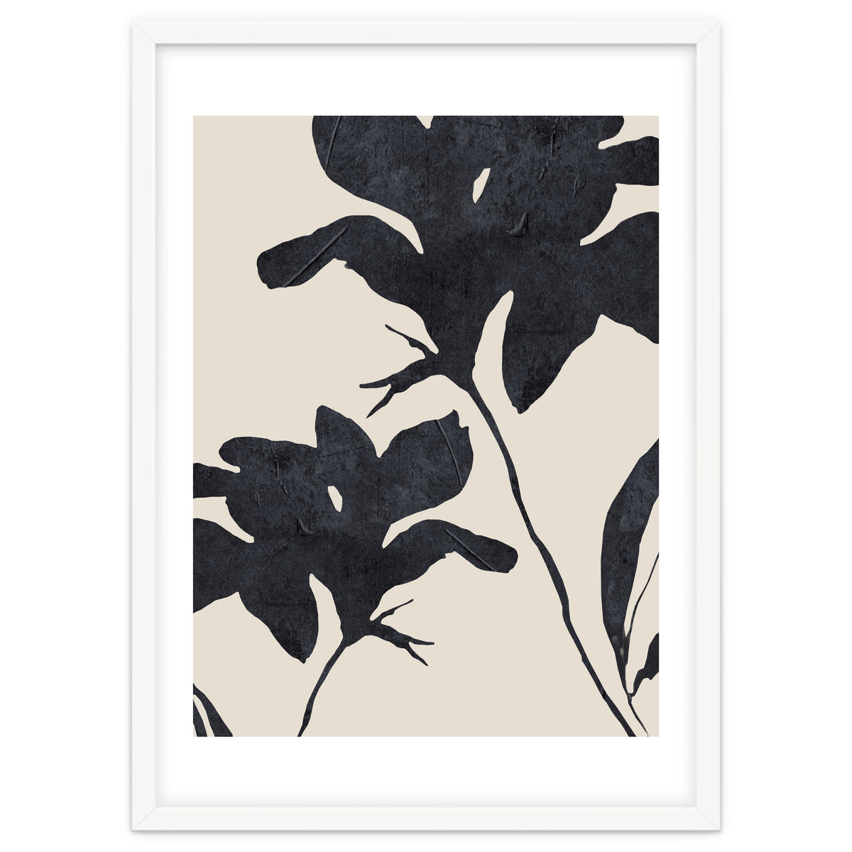 Shadowed Blooms