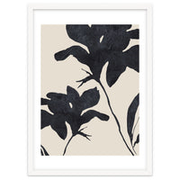 Shadowed Blooms