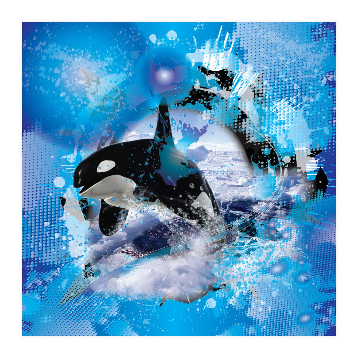 Orca (Print Only)