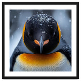 Close Up King Penguin In The Snow thumbnail