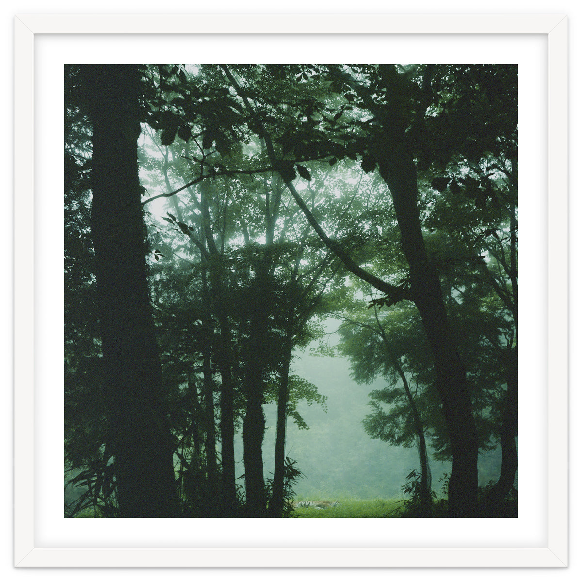 Silence of breath - 13