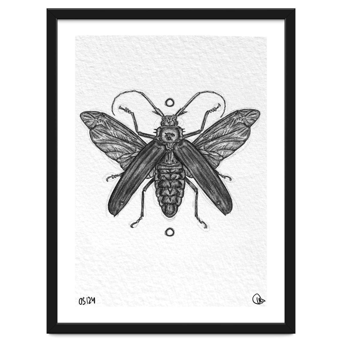 Riesen Longhorn Käfer