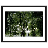 Light bulb among the trees in the summer forest thumbnail