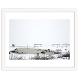 Blackbirds surrounding a frozen pond in winter thumbnail