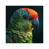 Close Up Colorful Parrot Bird Feather (Print Only) thumbnail