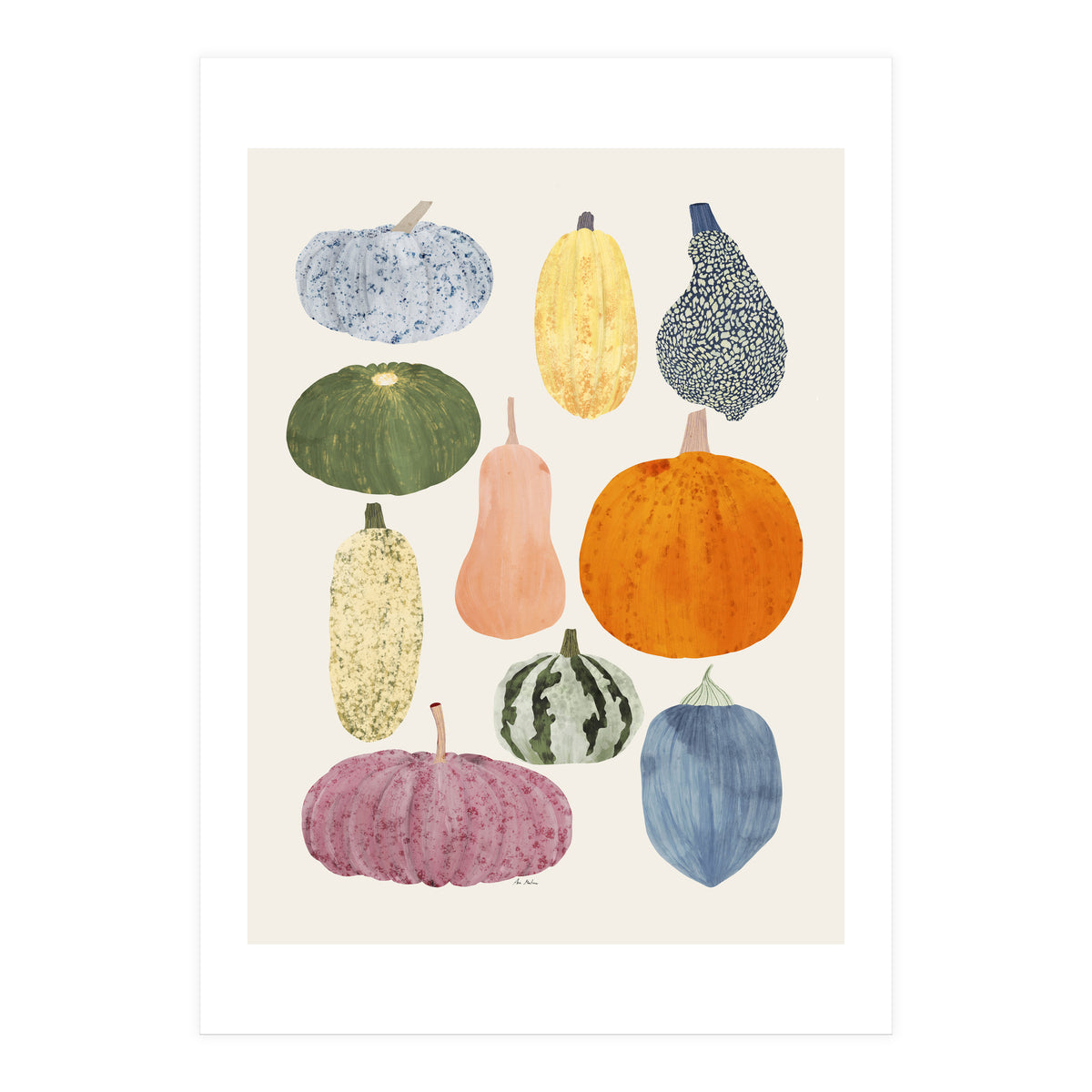 Still Life Of Pumpkins (Print Only)
