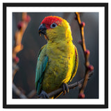 Close Up Of A Colorful Jenday Conure thumbnail