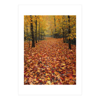 Ethereal Autumn Forest Path (Print Only)