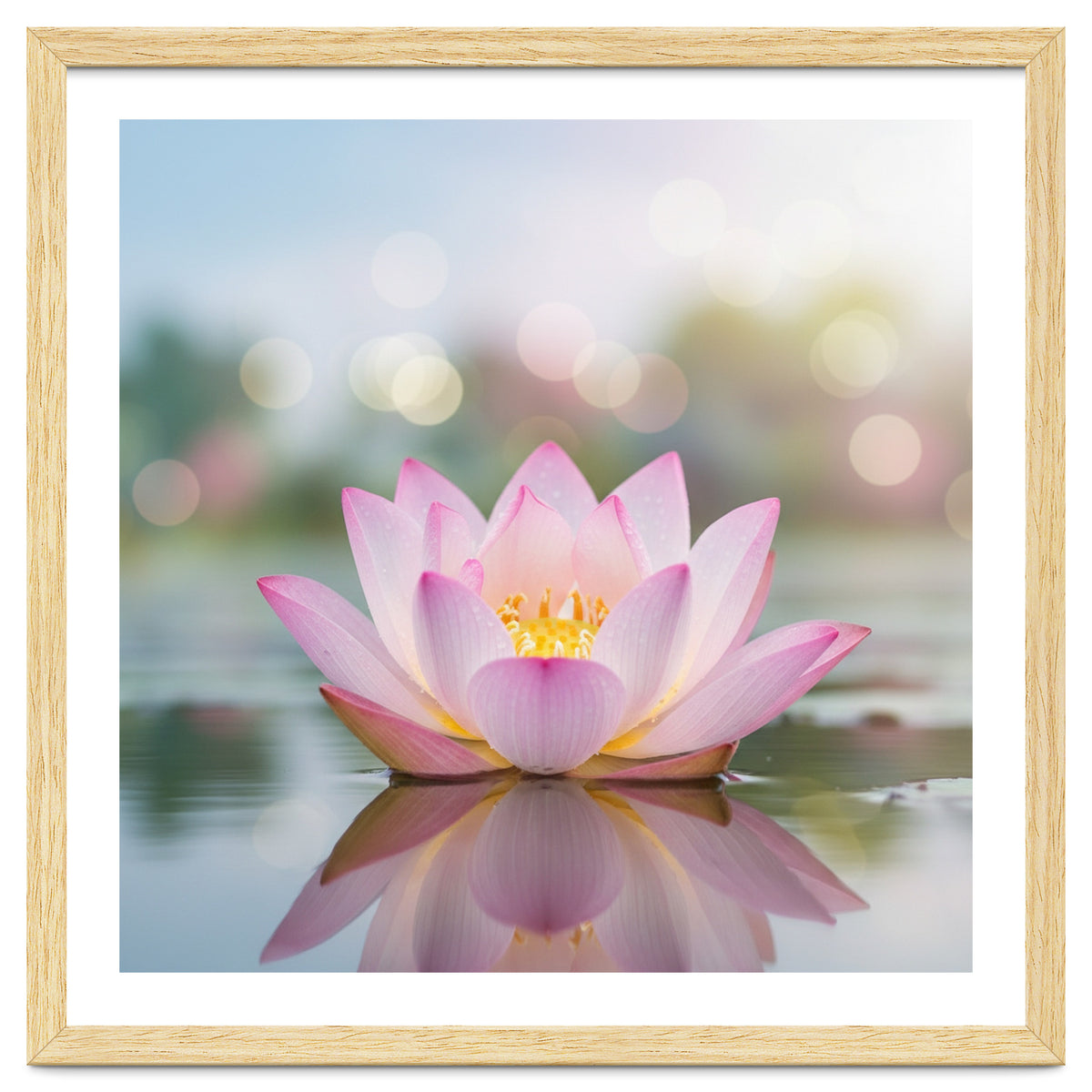 Ethereal Lotus Bloom: Serene Botanical Reflection