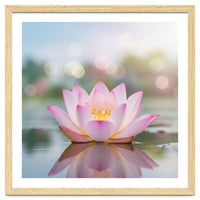 Ethereal Lotus Bloom: Serene Botanical Reflection