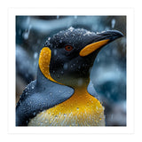 King Penguin Close Up In The Rain (Print Only) thumbnail