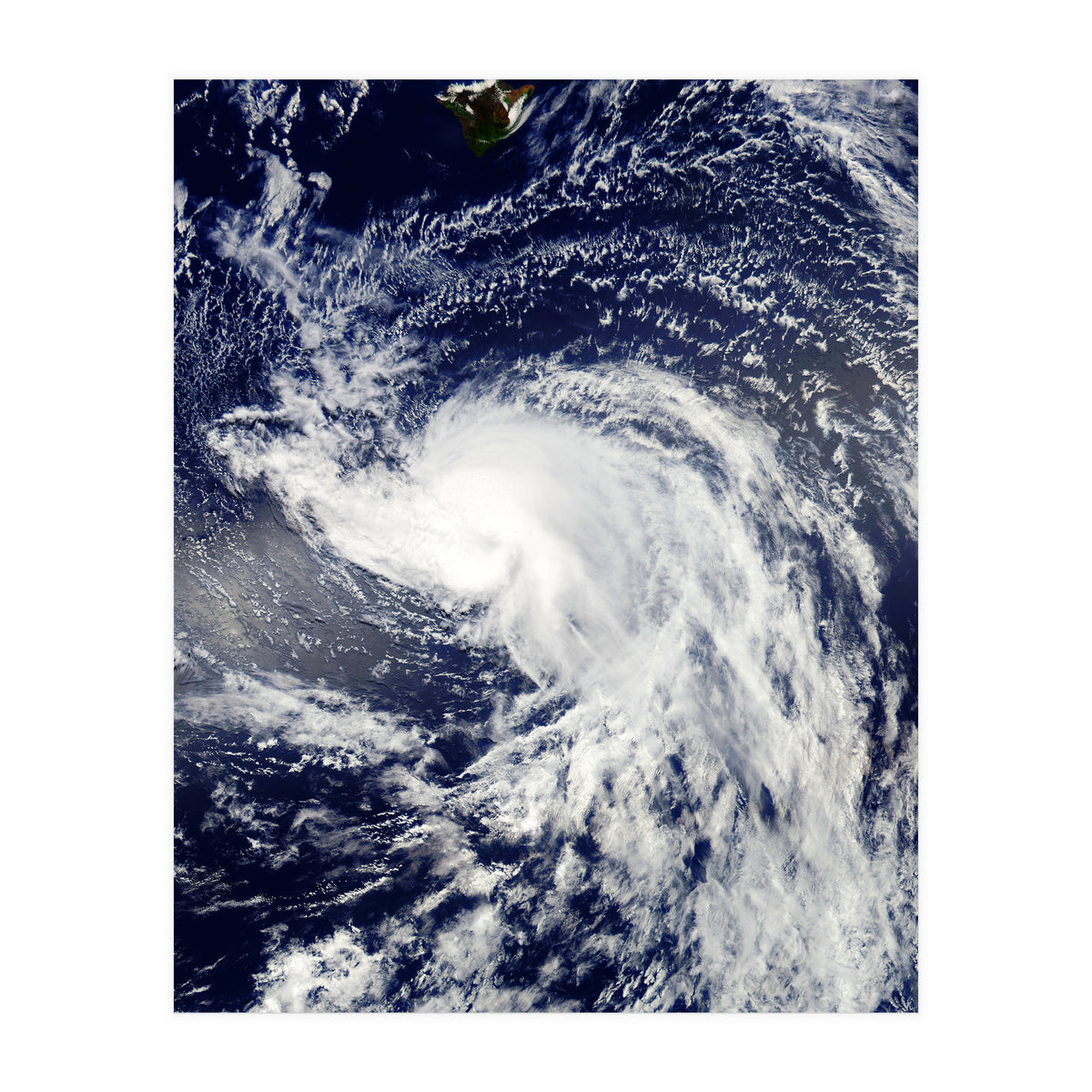 Sea Of Hearts (Print Only)