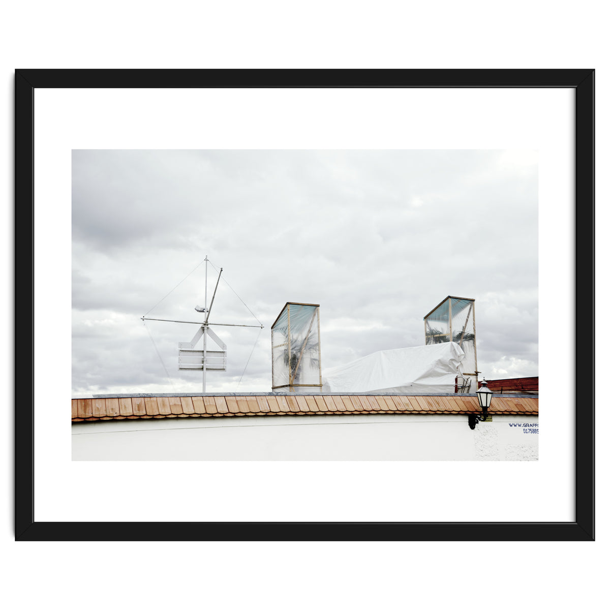 Palm tree waiting for summer