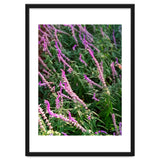 Lavender Flowers thumbnail