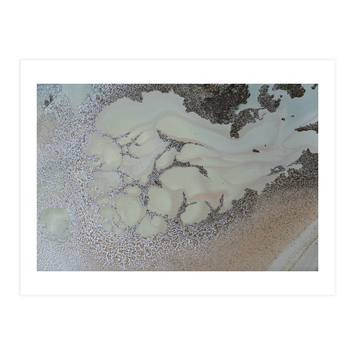 Shifting (Print Only)