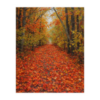 Lush Autumn Forest Path Covered (Print Only)