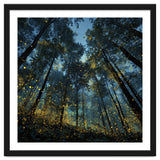 Celestial Forest Canopy with Swirling Golden Fireflies and Deep Twilight Blue Sky Digital Art thumbnail