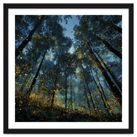 Celestial Forest Canopy with Swirling Golden Fireflies and Deep Twilight Blue Sky Digital Art